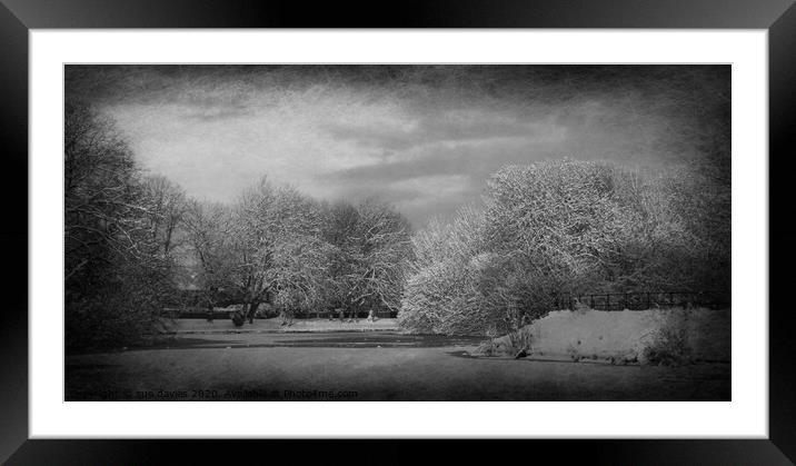 snow scene at walton hall park  Framed Mounted Print by sue davies
