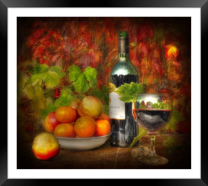 Liquid lunch Framed Mounted Print by sue davies