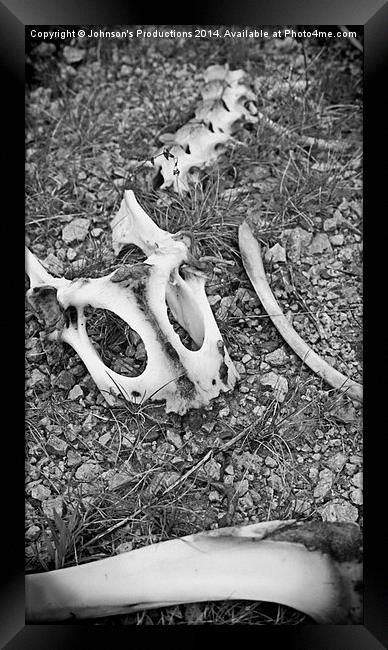  Bones Framed Print by Johnson's Productions