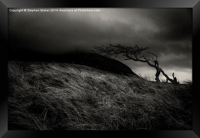 Lone Tree 0n Skye Framed Print by Stephen Maher