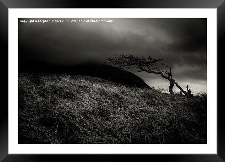 Lone Tree 0n Skye Framed Mounted Print by Stephen Maher