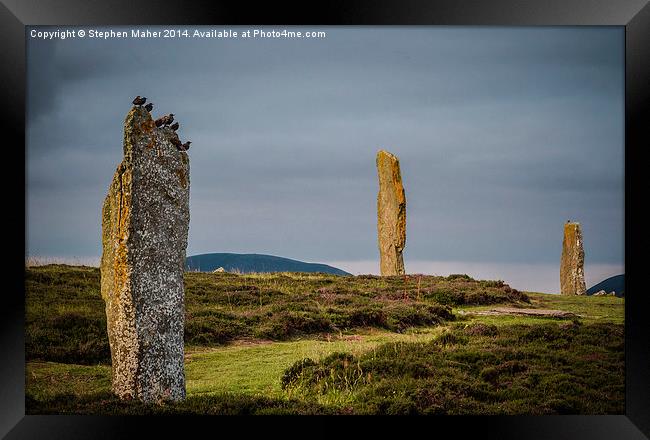  Birds on Orkney Standing Stone Framed Print by Stephen Maher