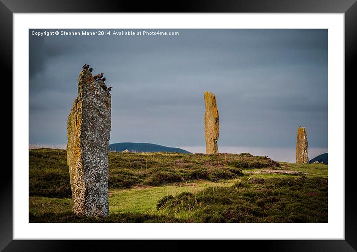  Birds on Orkney Standing Stone Framed Mounted Print by Stephen Maher