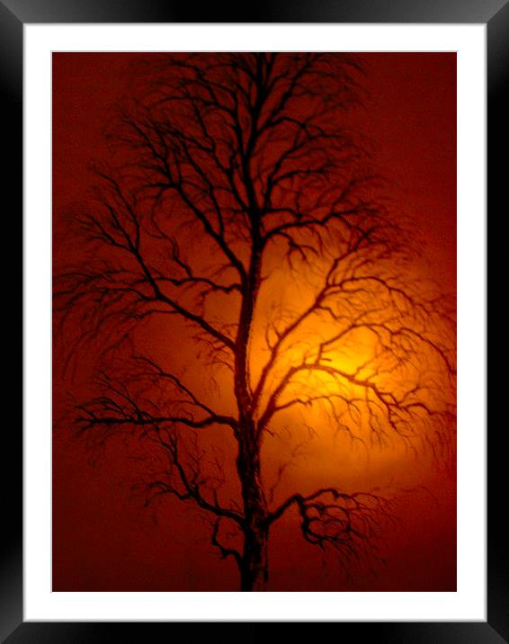 Winter Sunset Framed Mounted Print by james richmond