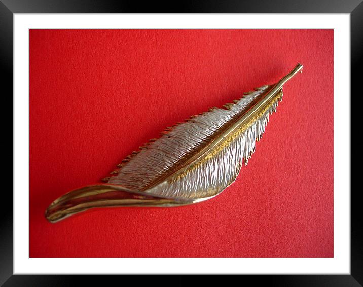 Feather on Red Framed Mounted Print by james richmond