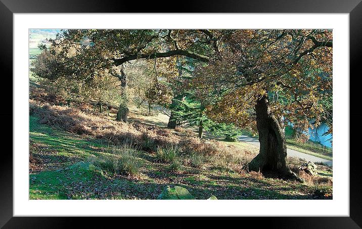 Under the Old Oak Framed Mounted Print by james richmond