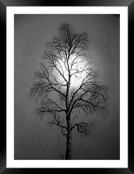 Moonglow Framed Mounted Print by james richmond