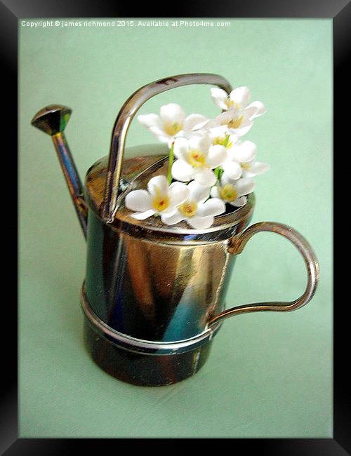  Floral Watering Can Framed Print by james richmond