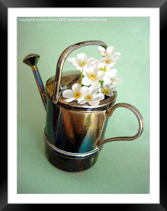  Floral Watering Can Framed Mounted Print by james richmond