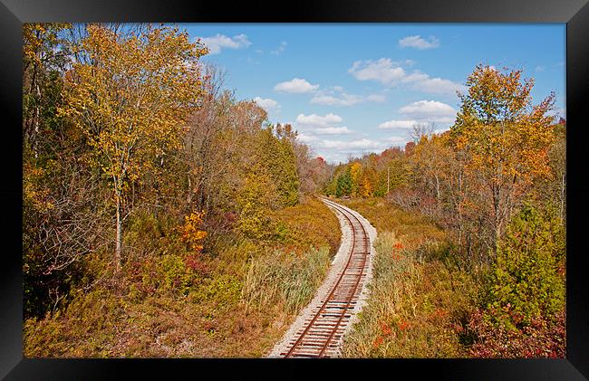 Autumn railroad Framed Print by jane dickie