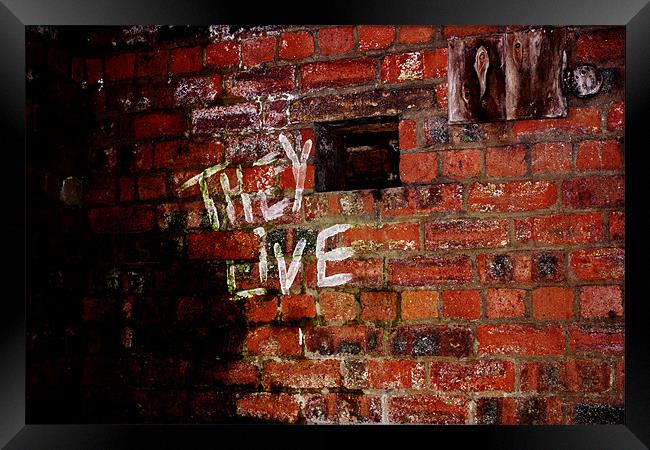 Graffiti old bricks Framed Print by jane dickie