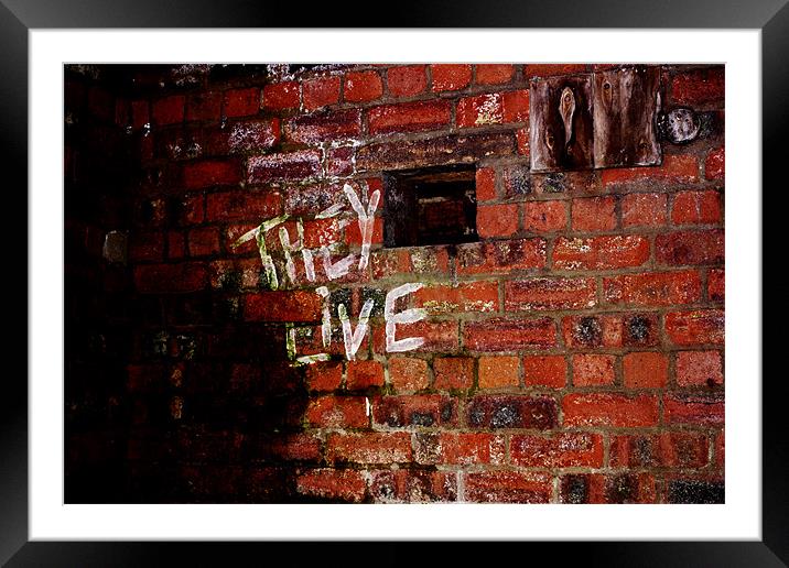 Graffiti old bricks Framed Mounted Print by jane dickie
