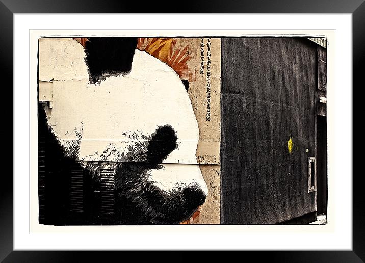 The Glasgow panda Framed Mounted Print by jane dickie
