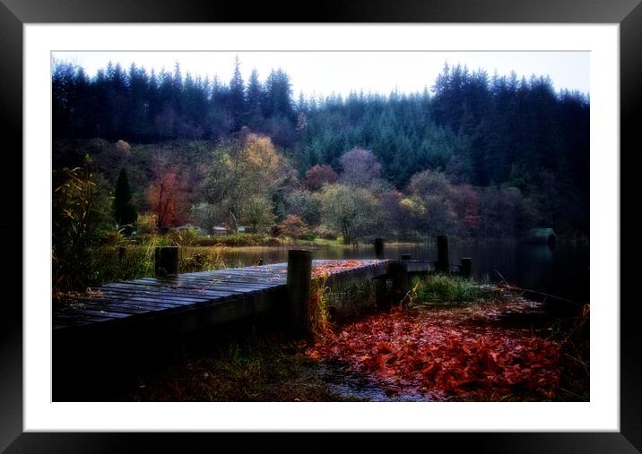 Loch Ard autumn leaves Framed Mounted Print by jane dickie