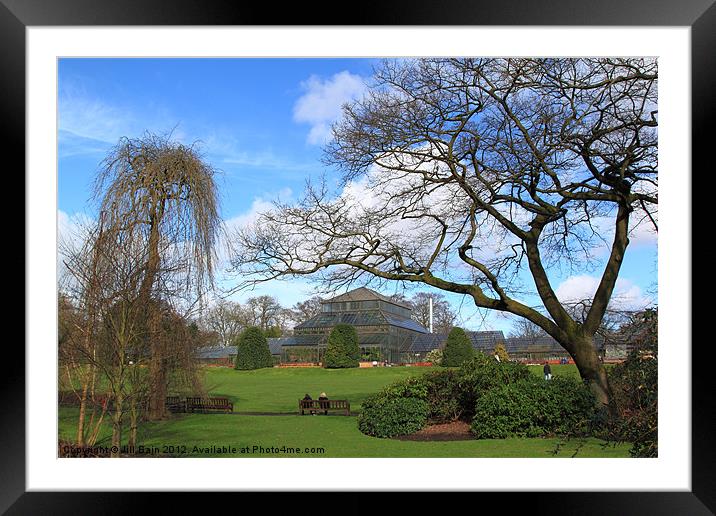 Glasgow Botanic Gardens Framed Mounted Print by Jill Bain