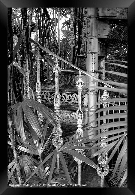Jungle stairs Framed Print by Jill Bain