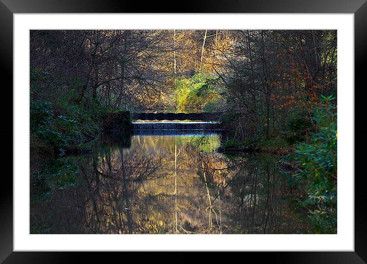Woodland Water Reflection Framed Mounted Print by Paul Mirfin