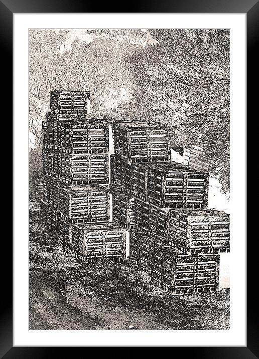 Fishing Net Crates Framed Mounted Print by Thomas Grob