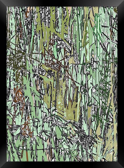 Bamboo Pattern Framed Print by Thomas Grob