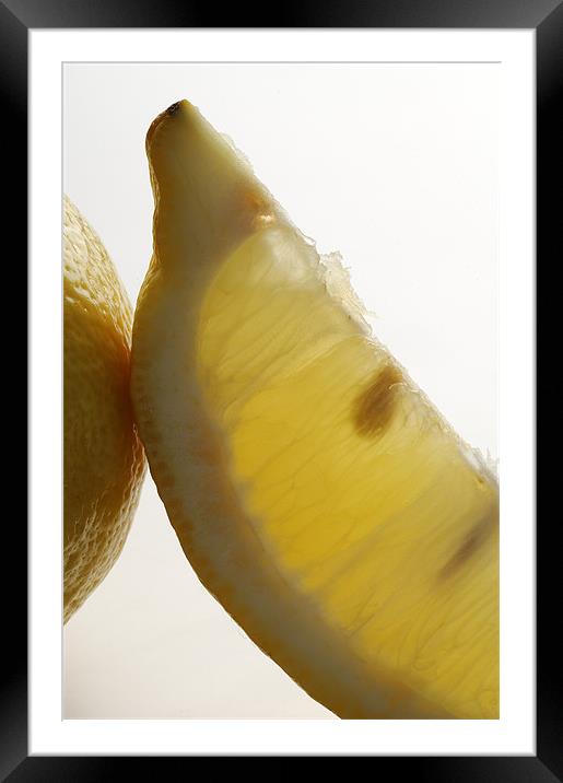 Sliced lemon Framed Mounted Print by Josep M Peñalver