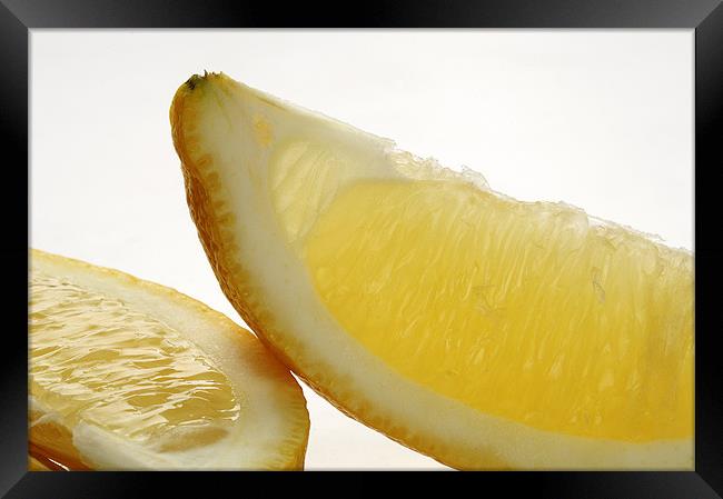 Sliced lemon Framed Print by Josep M Peñalver