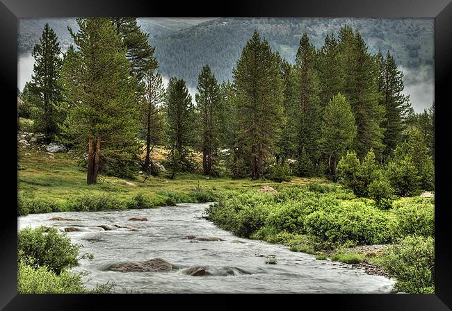 Yosemite National Park Framed Print by Josep M Peñalver