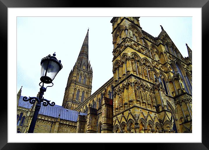Salisbury Cathedral Framed Mounted Print by Oliver Firkins