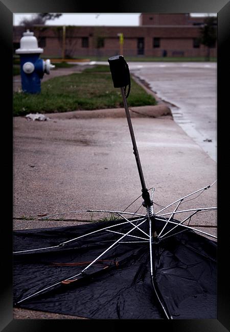 Dead Umbrella II Framed Print by Whitney Orr