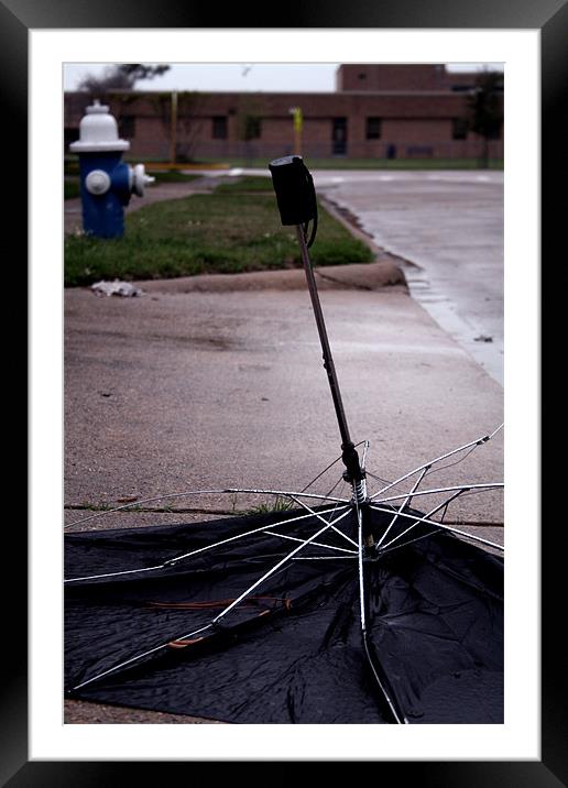 Dead Umbrella II Framed Mounted Print by Whitney Orr