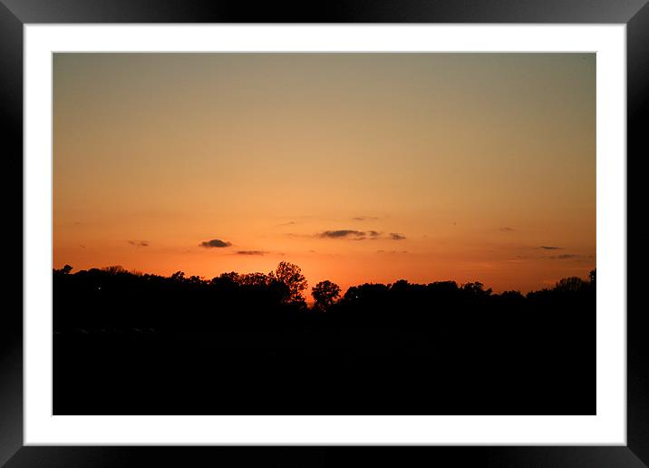 Rose Sunset Framed Mounted Print by Whitney Orr