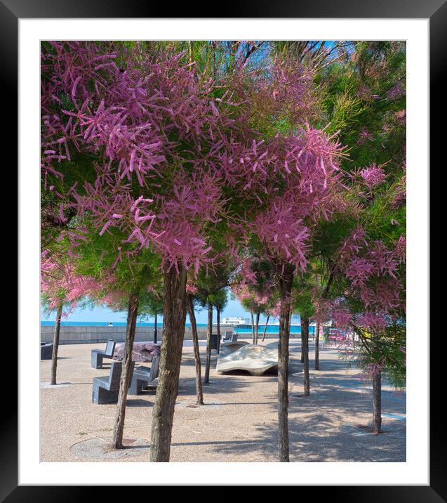 Colourful Worthing Trees Framed Mounted Print by Clive Eariss