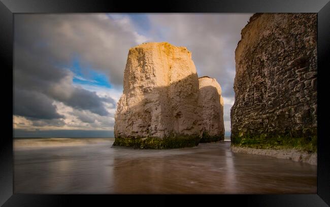 Botany Bay Giants Framed Print by Clive Eariss
