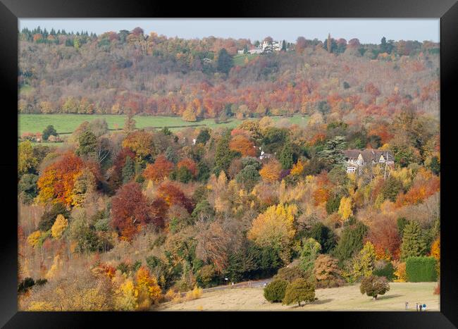 Box Hill Autumn Framed Print by Clive Eariss
