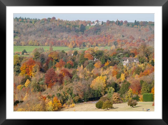 Box Hill Autumn Framed Mounted Print by Clive Eariss