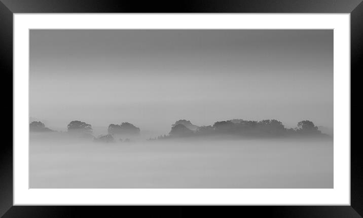 Trees In Mist Framed Mounted Print by Clive Eariss
