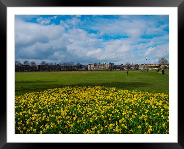 Cambridge In Springtime Framed Mounted Print by Clive Eariss