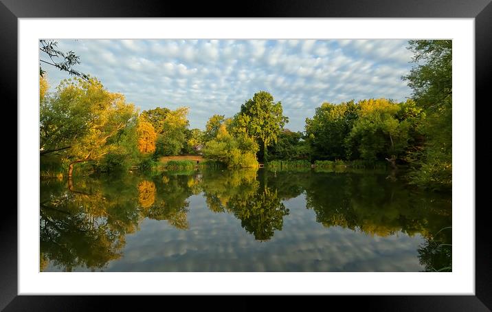 Long Copse Pond Framed Mounted Print by Clive Eariss