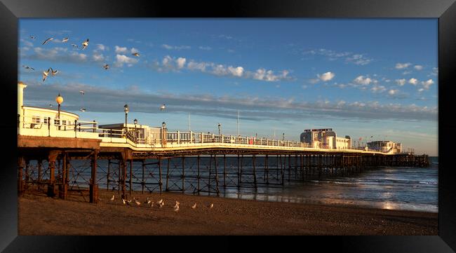 Worthing And Gulls Framed Print by Clive Eariss