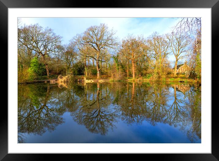 Peaceful Pond Framed Mounted Print by Clive Eariss