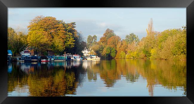 River Thames Weybridge Framed Print by Clive Eariss