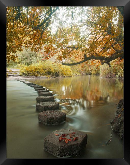 Stepping stones 1 Framed Print by Clive Eariss