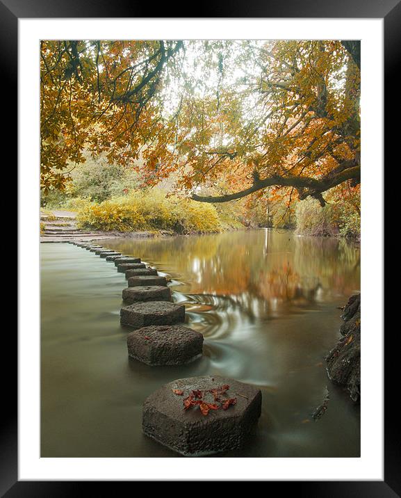 Stepping stones 1 Framed Mounted Print by Clive Eariss
