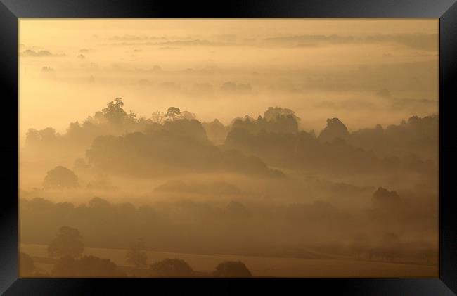 Box Hill Mist Framed Print by Clive Eariss