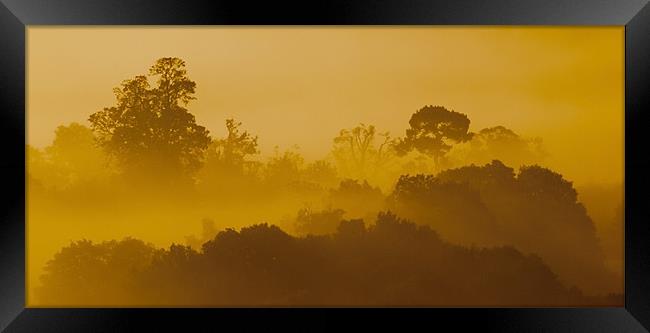 Mist At Box Hill Framed Print by Clive Eariss