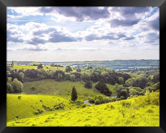 Box Hill Surrey Framed Print by Clive Eariss