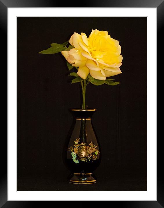 Rose And Vase Framed Mounted Print by Clive Eariss