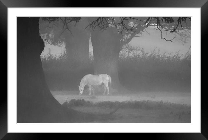 Horse In The Mist Framed Mounted Print by Clive Eariss