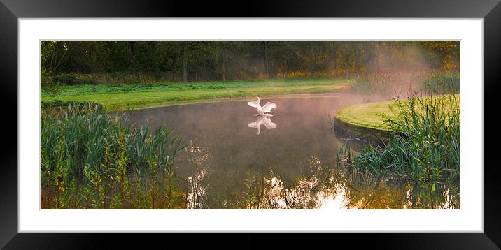 Morning Stretch Framed Mounted Print by Clive Eariss
