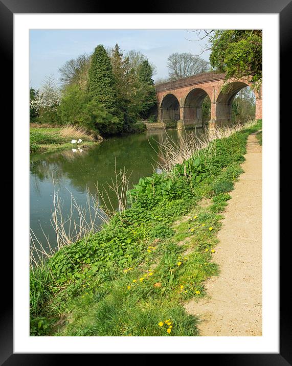 River Mole Leatherhead Surrey Framed Mounted Print by Clive Eariss