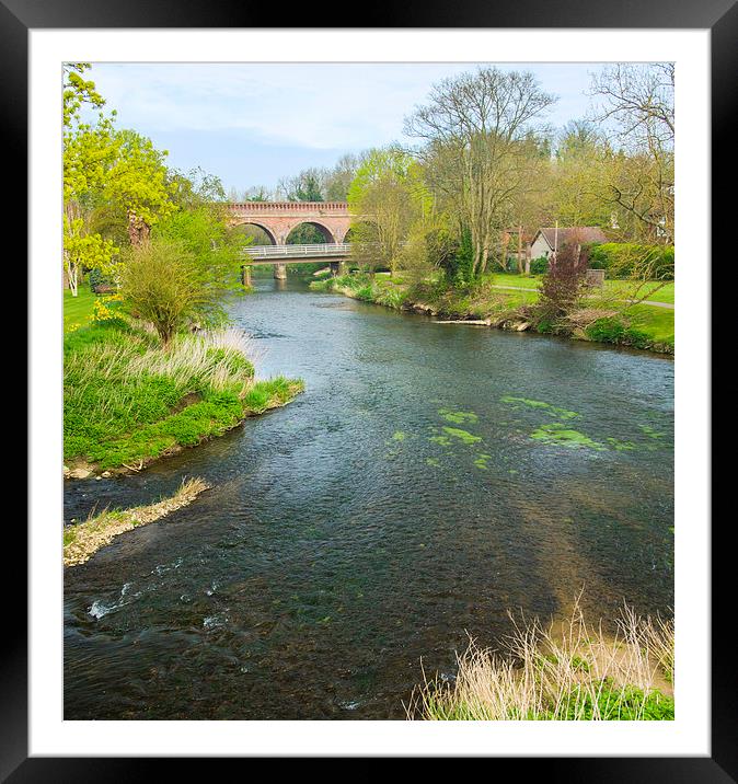 River Mole Leatherhead Surrey Framed Mounted Print by Clive Eariss